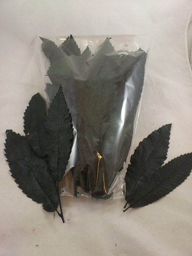 Chestnut Leaf colored green 300-350 gr.